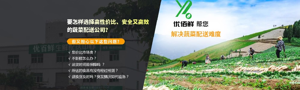 高效的食材配送才能提高企業(yè)員工用餐質(zhì)量！